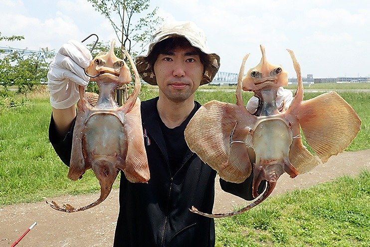 まだ干物状態のジェニー
