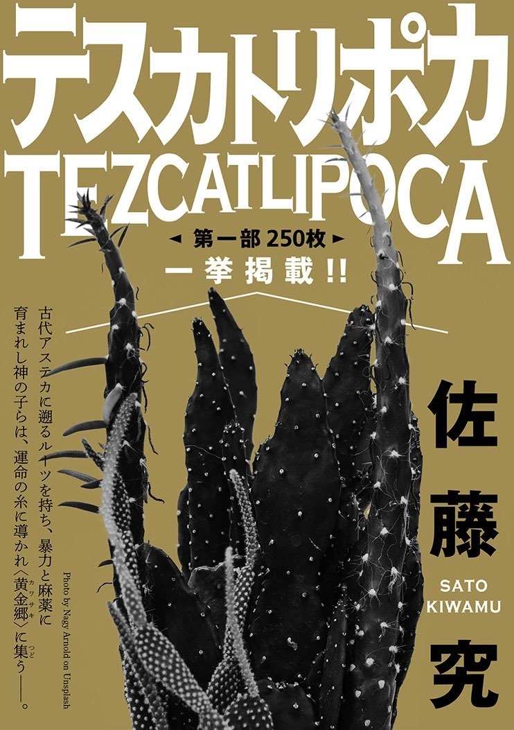 扉絵