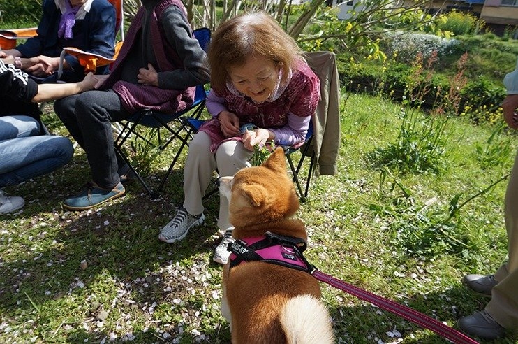 写真