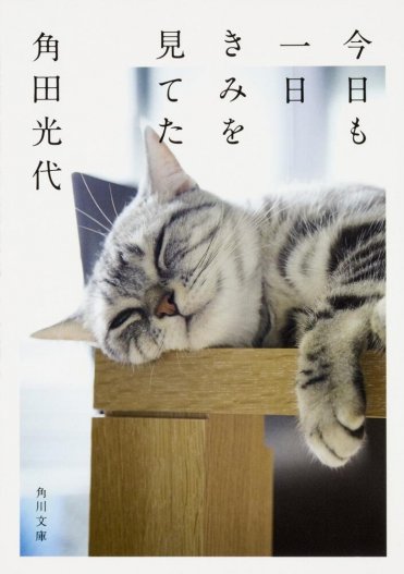 角田光代『今日も一日きみを見てた』(角川文庫刊)カバー画像