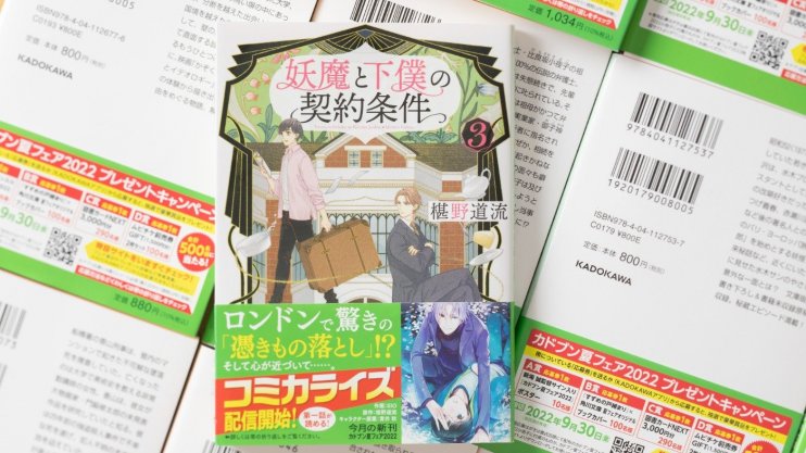 『妖魔と下僕の契約条件 3』椹野 道流