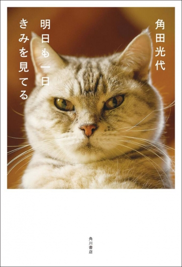 『明日も一日きみを見てる』角田光代