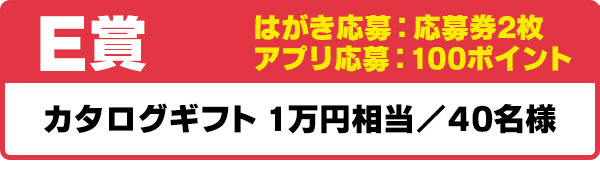E賞 カタログギフト 1万円相当/40名様