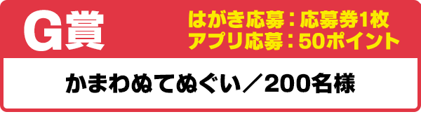G賞 かまわぬてぬぐい/200名様