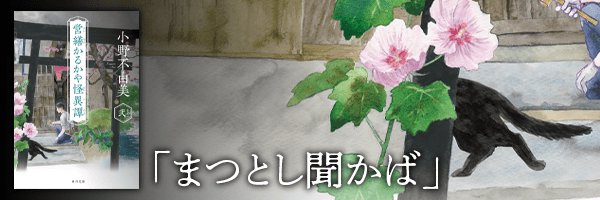 ⑨猫の訪れる家