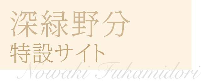 深緑野分　特設サイト