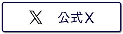公式X