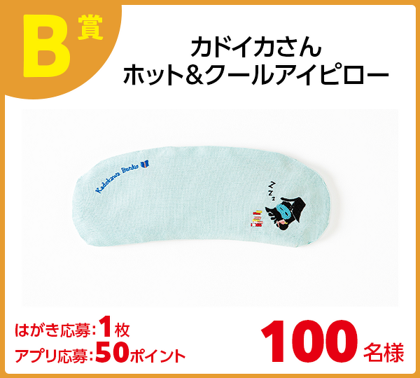 B賞 カドイカさんホット&クールアイピロー